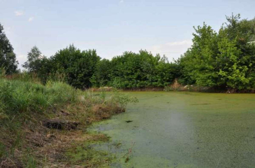 Продаж земельної ділянки 13 соток Вишеньки - фото 4