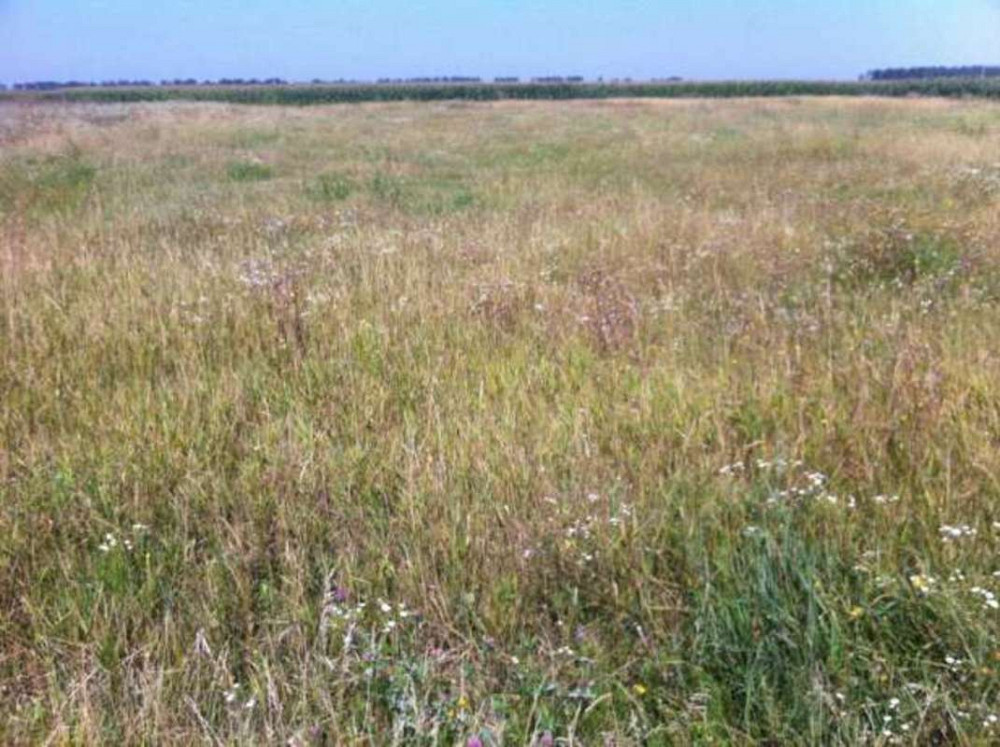 Продаж земельної ділянки 50 соток Головурів - фото 2