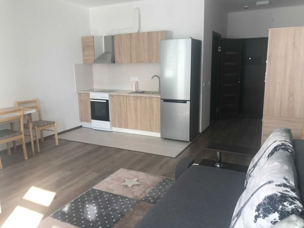 Продаж Квартира 1-кімнатна, 15/24 поверх на Пчілки, 7 Київ - фото 3