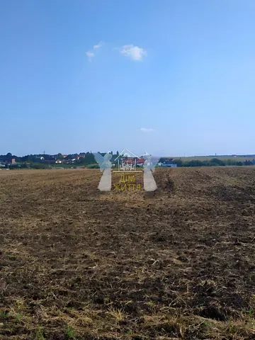 Продаж земельної ділянки  площа 240 сот вул. Бережанська 1 Підгородне - фото 1