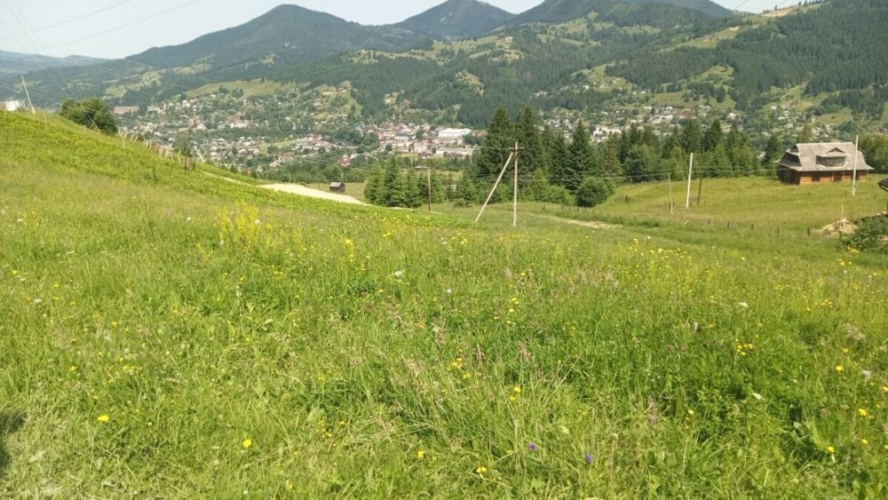 Продаж земельної ділянки 43 соток Верховина - фото 3