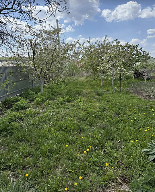 Продаж земельної ділянки 15 соток  - фото 3