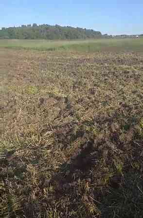 Продаж Квартира на улица озерна Винники