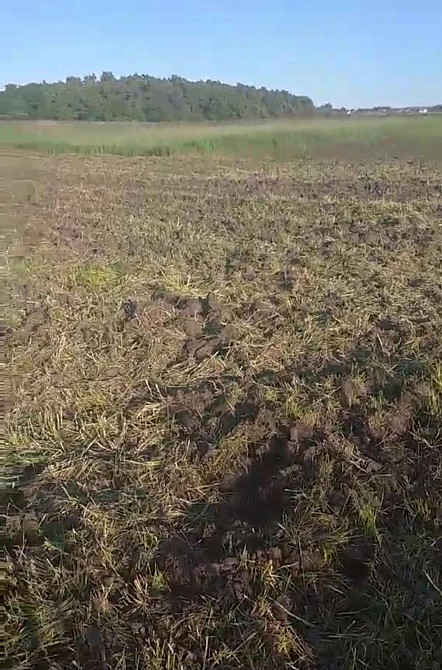 Продаж Квартира на улица озерна Винники - изображение 5