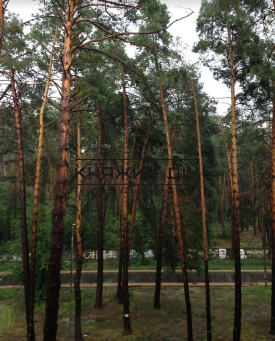 Продаж 2-кімнатної квартири, Ірпінь. № 21146101 Ірпінь - фото 11