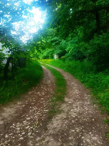 Продаж земельної ділянки  площа 6 сот   - фото 4