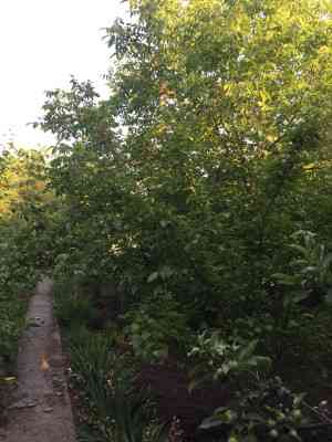 Продаж земельної ділянки 0.1 соток на переулок Дачный 2-й, 9а Одеса