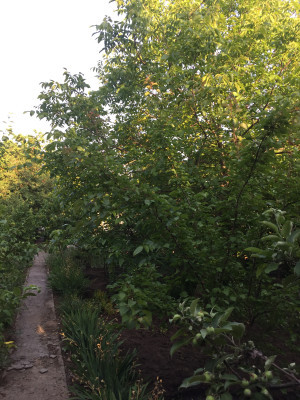 Продаж земельної ділянки 0.1 соток на переулок Дачный 2-й, 9а Одеса - фото 4