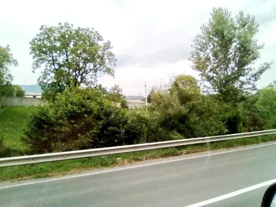 Продаж земельної ділянки Будівництво та експлуатація виробничих підприємств площа 44.55 сот GWP8+RR, Свалявський район, Закарпатська область, 89322 Сусково - фото 8