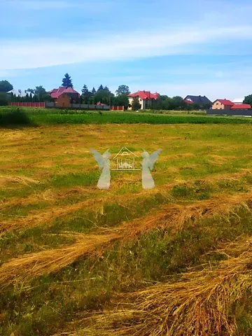 Продажа земельного участка  площадь 32.27 сот Шевченка вулиця  - изображение 6