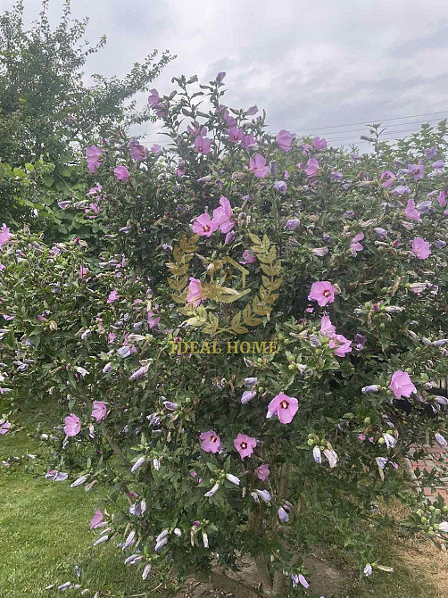 продам будинок старі безрадичі  - фото 8