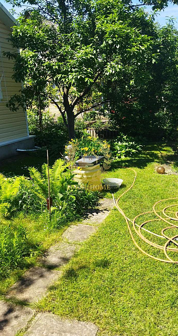 Продам дачний будинок в с.Пороскотень. Пороскотень - фото 14