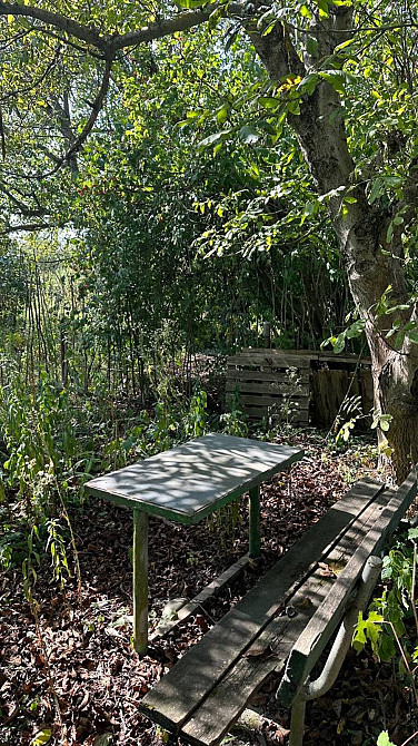 Продаж земельної ділянки 0.55 соток Vovchynets - photo 3