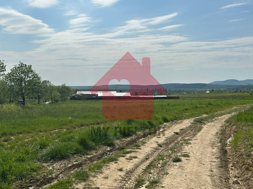 Продаж земельної ділянки 13.48 соток на Урочище Грабини  - photo 5