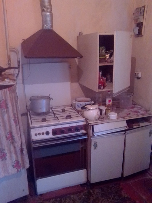 Продаж 1-поверховий Будинок з ділянкою 20 сот 87 кв.м 3 кімн. на Село Головенкі Zhytomyr - photo 3