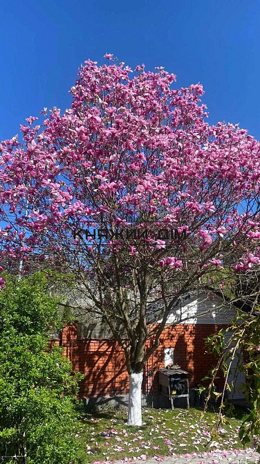 Оренда 2-поверховий Будинок з ділянкою 17 сот 600 кв.м    - photo 14