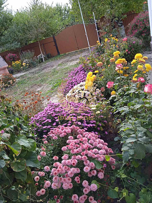 Продам будинок у Житних Горах  - фото 10