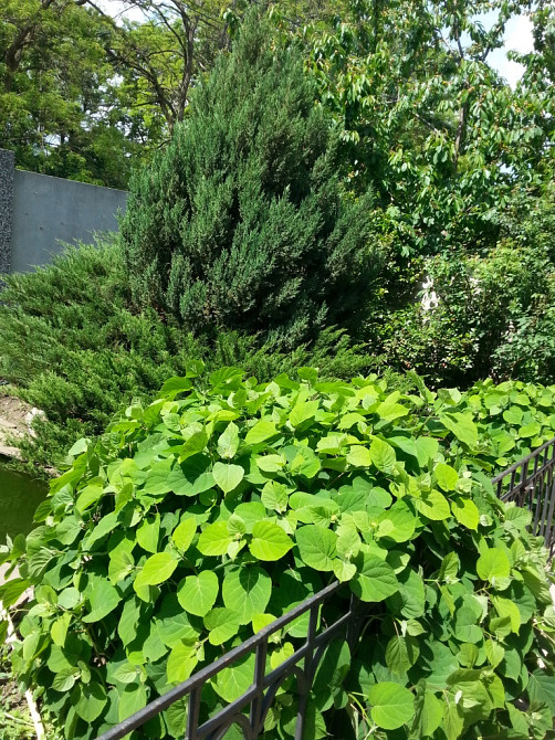 Продаж комерційне приміщення на ул. Педагогическая, 21 приміщень - 3, поверх - 1 Одеса - фото 12