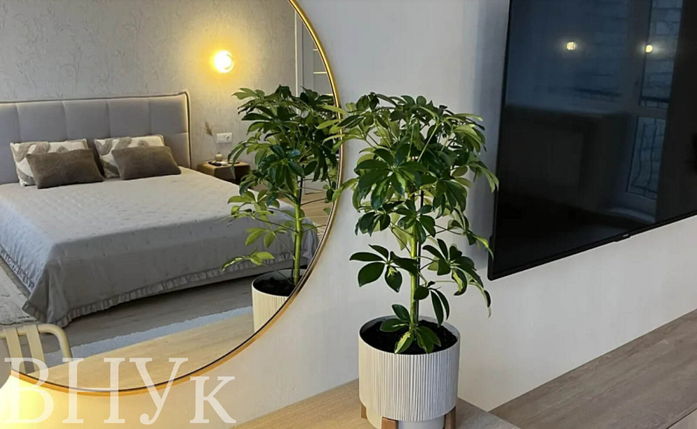 Продаж Квартира 1-кімнатна, 4/5 поверх на Старий Ринок Тернополь - изображение 2