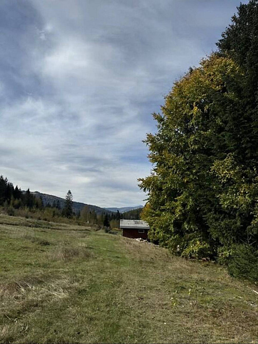 Продаж земельної ділянки 53.33 соток  - photo 6