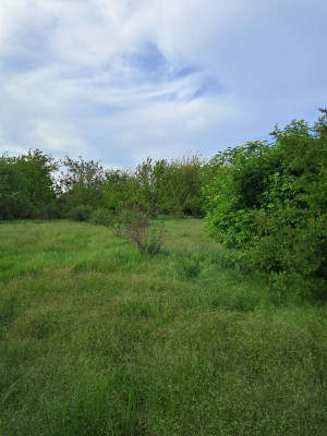 Продаж земельної ділянки 0.5 соток на ул. Черноморцев, 55а Сухий Лиман - изображение 8