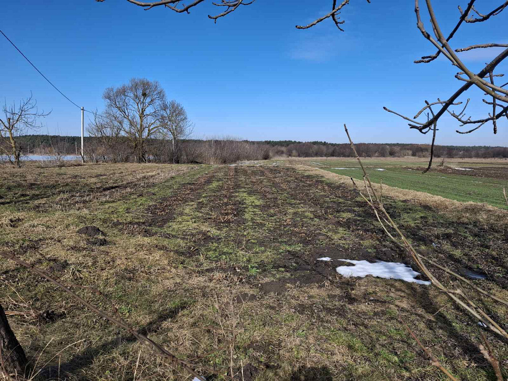 Продаж земельної ділянки 11 соток на Надрічна  - фото 4