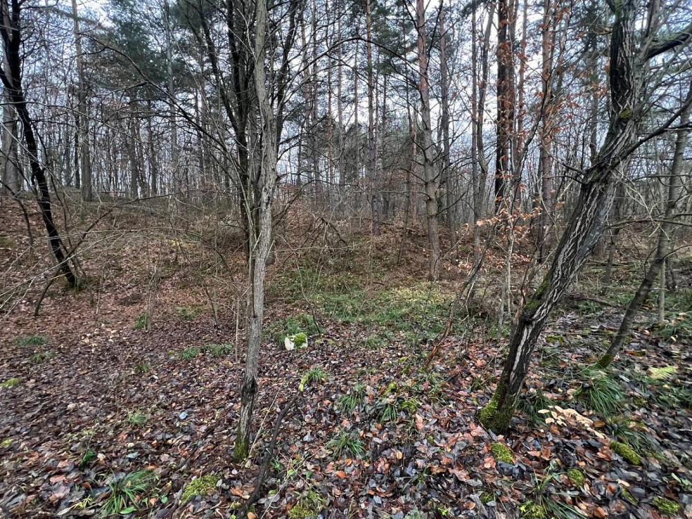 Продаж Квартира на улица Замарстинівська L'viv - photo 8