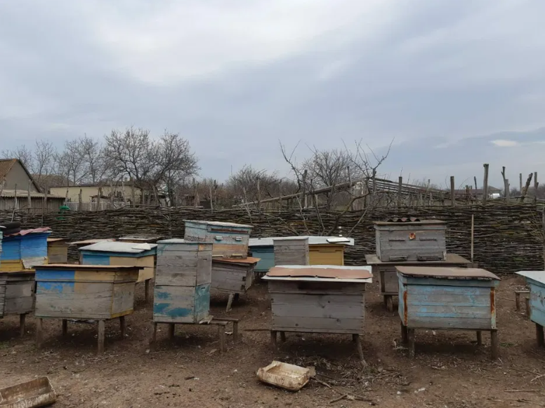 Продам дом в с.Переможне (15 км от Одессы) Переможне - фото 16