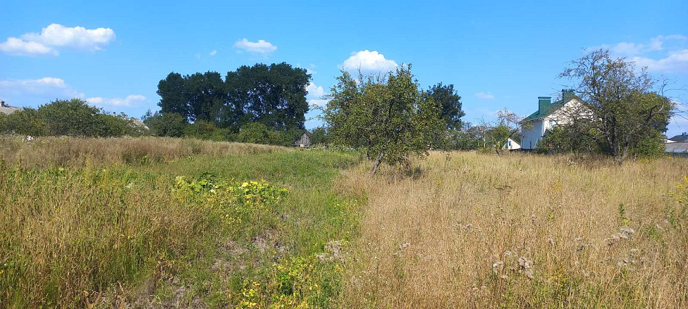 Продаж земельної ділянки 20 соток на Сонячне Zhytomyr - photo 4