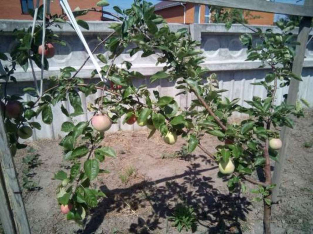 Продаж 2-поверховий Будинок з ділянкою 2 сот    Гора - фото 6