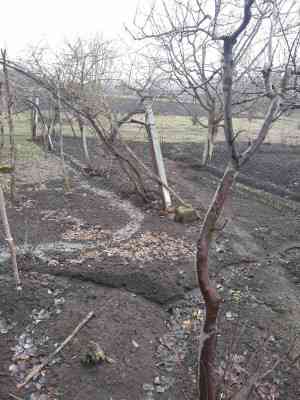 Продаж земельної ділянки 0.2 соток на ул. Московская, 1 Августовка