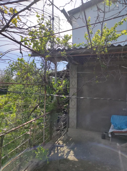 Продам дачу на берегу Хаджибеевского лимана (40 км Киевского шоссе, с.Богнатово) Богнатове - фото 1