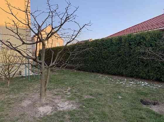 Оренда Будинок на Ягодная Боярка