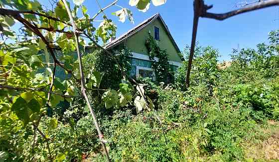 Продам дом с видом на лиман, центр села Александровка. Доброолександрівка