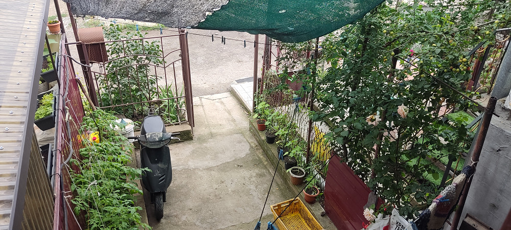 Продается  в Нерубайске  дача на Хаджибеевском лимане. Нерубайське - фото 1