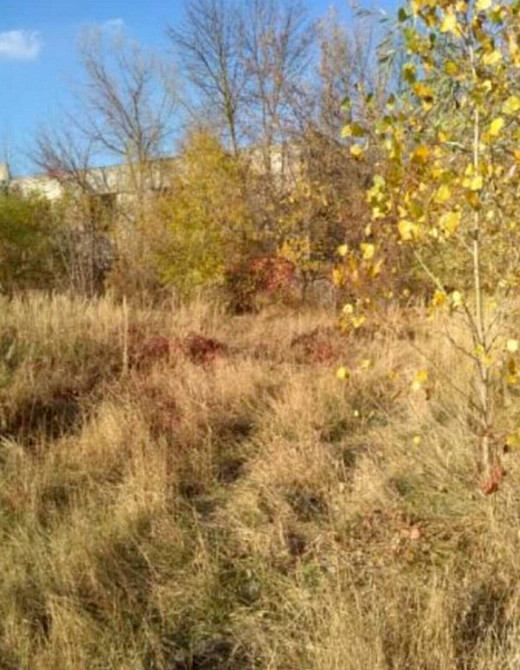 Продаж земельної ділянки 70 соток Ternopil' - photo 4