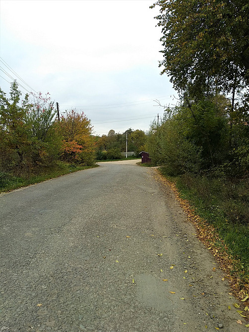 Продаж земельної ділянки 25 соток Олеша - фото 9