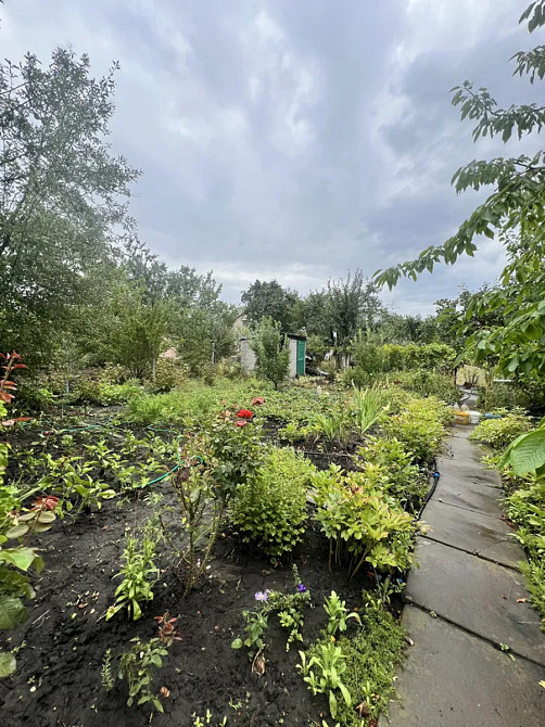 Продаж дачі,2 кімнати. Кропивницький - фото 12