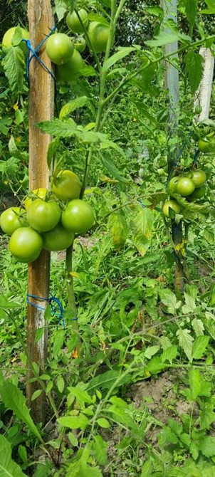 Продаж Будинок Підлужжя - фото 11