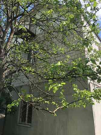 Продаж Будинок Ладижин