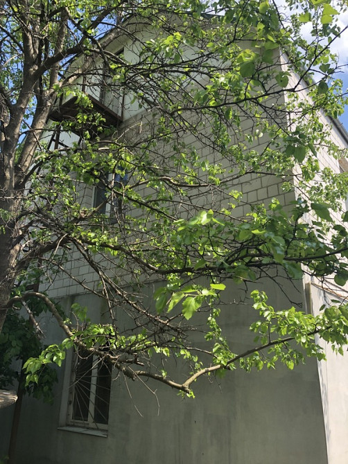 Продаж Будинок Ладижин - фото 2