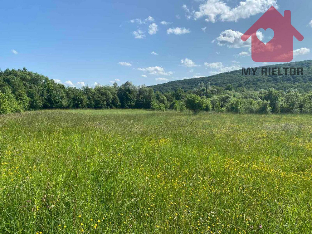 Продаж земельної ділянки 29 соток на Ублянська Malyi Bereznyi - photo 4