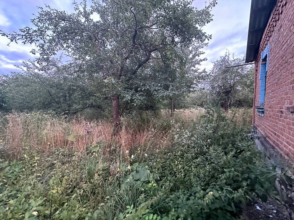 Продаж Будинок на Вишнева Дашківці - фото 2