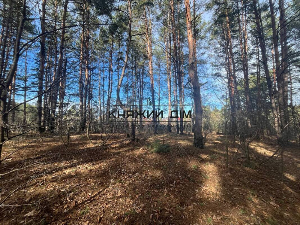 Продаж земельної ділянки 14 соток на вул. Котляревського Hlevakha - photo 2