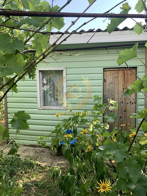 Продам будинок в селі Кодра Kodra - photo 18