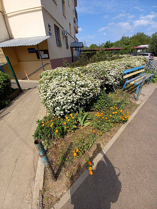 Продам 1-комнатную квартиру с видом на море в Фонтанке Фонтанка - фото 10