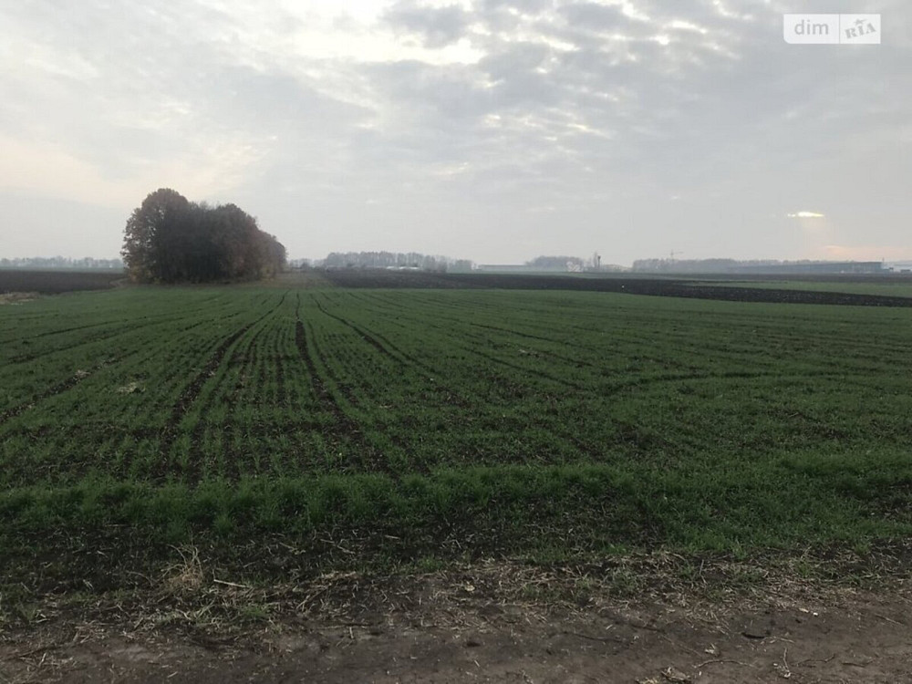 Продаж земельної ділянки 10 соток на Смілянська Вінниця - фото 3