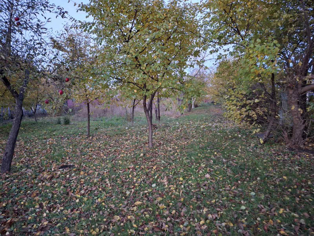 Продаж будинку у В.Березовиця Velikaya Berezovica - photo 12