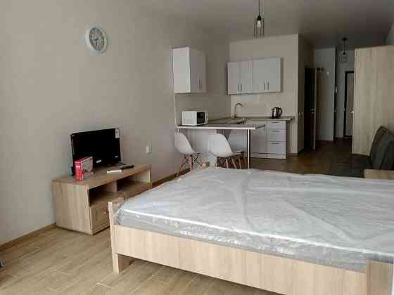 Оренда Квартира 1-кімнатна, 6/8 поверх на Камянська, 123 Київ