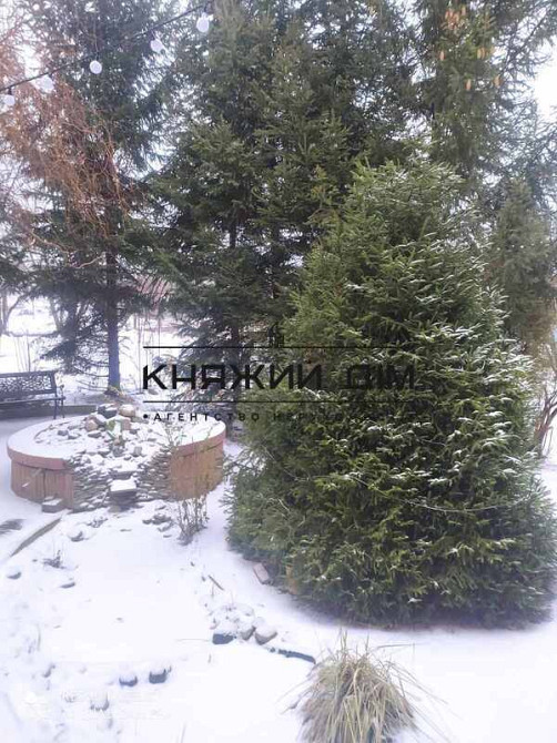 Аренда отличного 3-х этажного дома в с. Великие Дмитровичи. № 139270  - фото 6